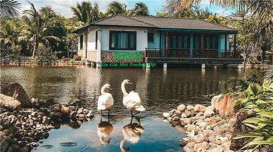 Bài viết tin tức 7