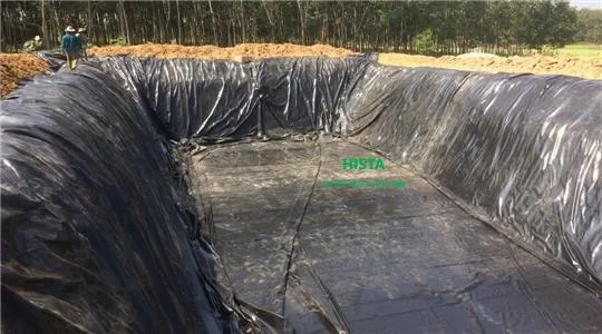 Trại heo Đức Linh