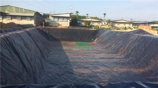 Trại heo Định Quán